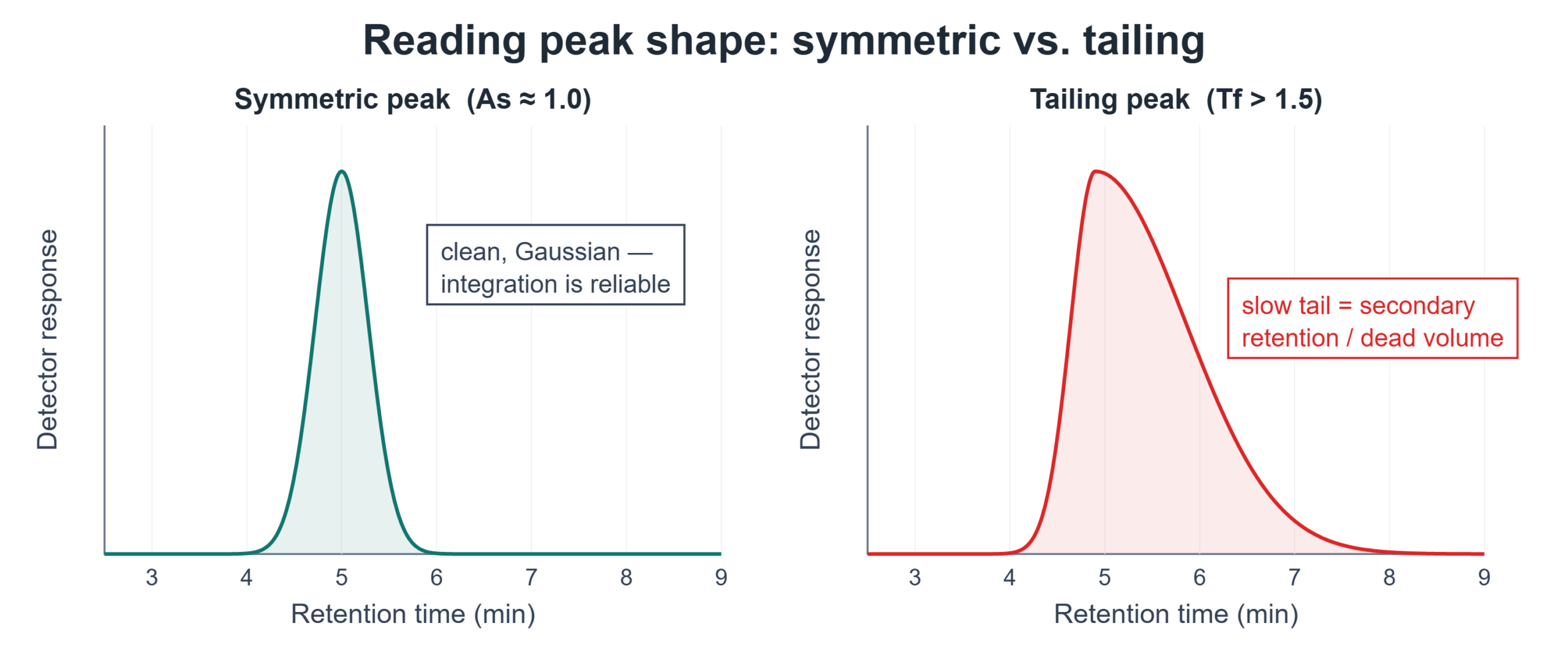 Comparison of a symmetric HPLC peak with asymmetry factor near 1.0 versus a tailing peak with tailing factor above 1.5, showing the slow tail from secondary retention or dead volume.