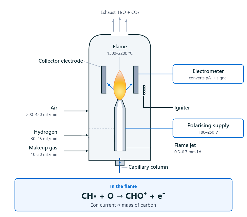Cross-section schematic of a GC flame ionization detector showing column and gas inlets, flame jet, hydrogen-air flame, collector electrode, igniter, polarising supply and electrometer