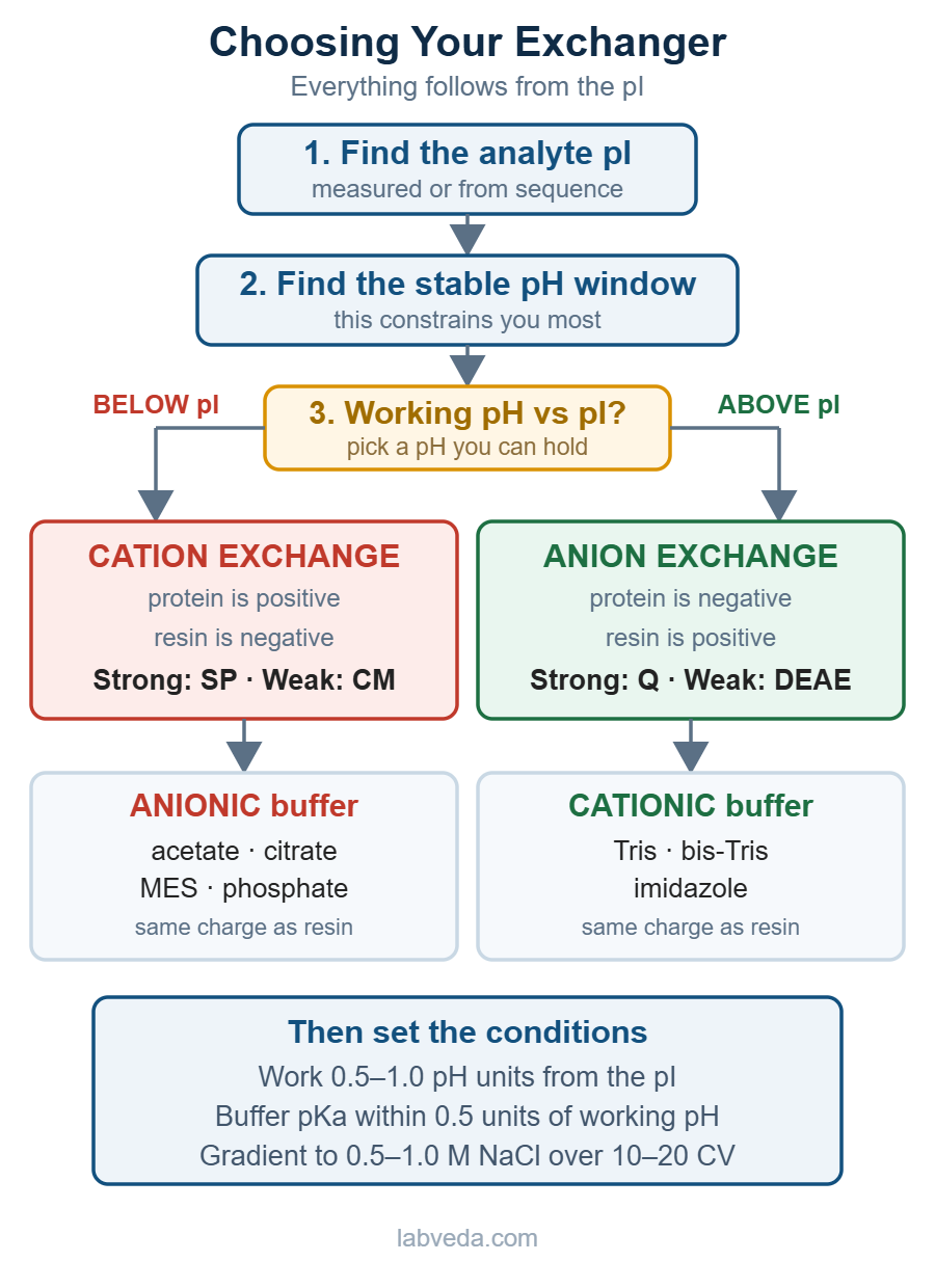 Decision flowchart for ion exchange chromatography: find the analyte pI, find the stable pH window, then below the pI use cation exchange with an anionic buffer such as acetate or MES, or above the pI use anion exchange with a cationic buffer such as Tris or bis-Tris