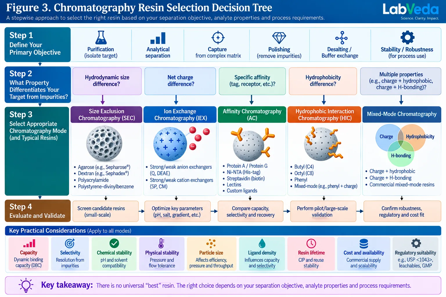 Chromatography resin selection decision tree: from the purification objective, to the property that differentiates the target from impurities — hydrodynamic size, net charge, specific affinity, hydrophobicity or several at once — routing to size-exclusion, ion-exchange, affinity, hydrophobic-interaction or mixed-mode resins, then to screening and the process constraints applied across every mode
