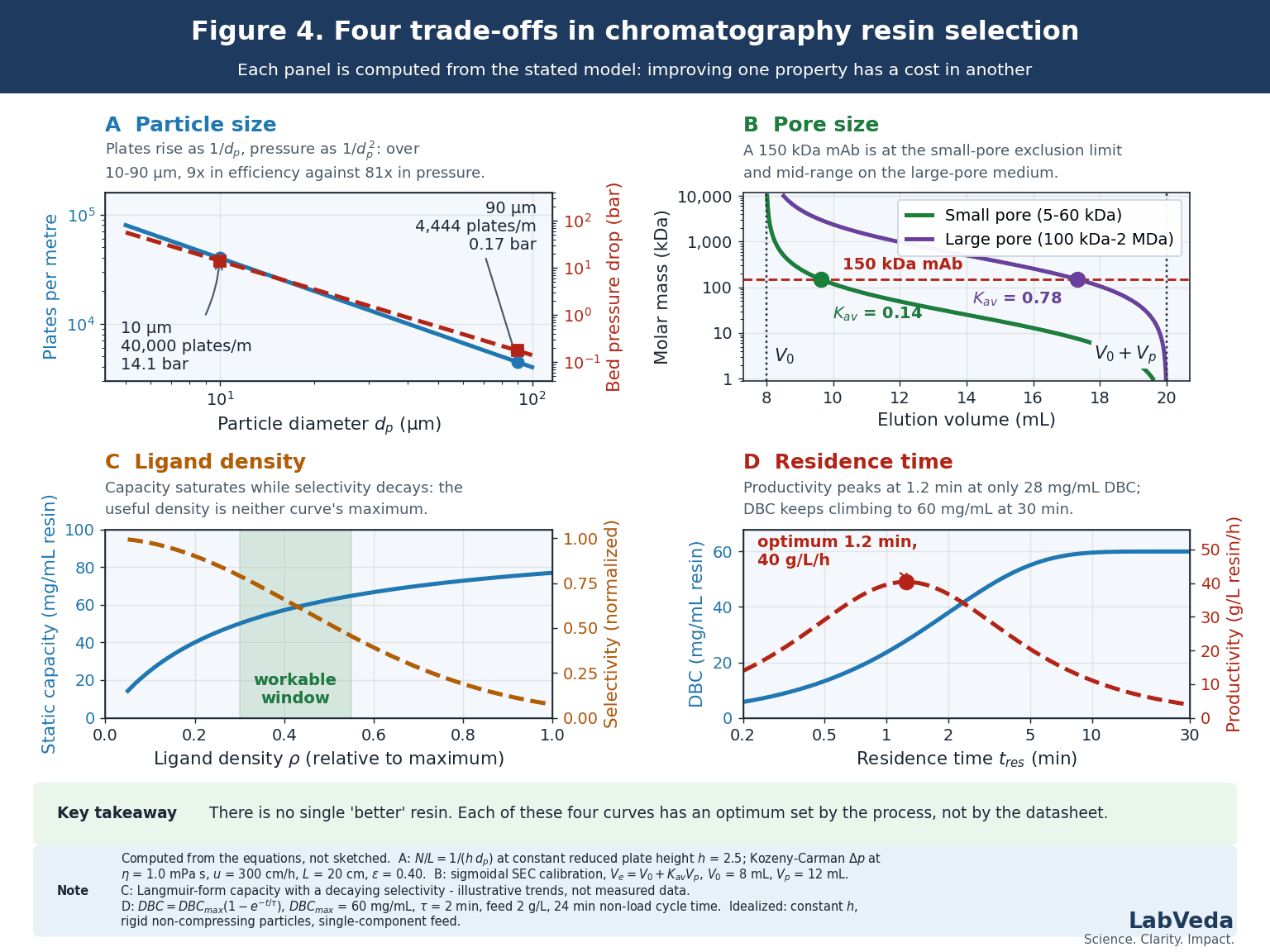 Four panels showing chromatography resin selection trade-offs computed from their equations: column efficiency and pressure drop against particle size, SEC calibration curves for small and large pore media, binding capacity against ligand density with selectivity, and dynamic binding capacity and productivity against residence time