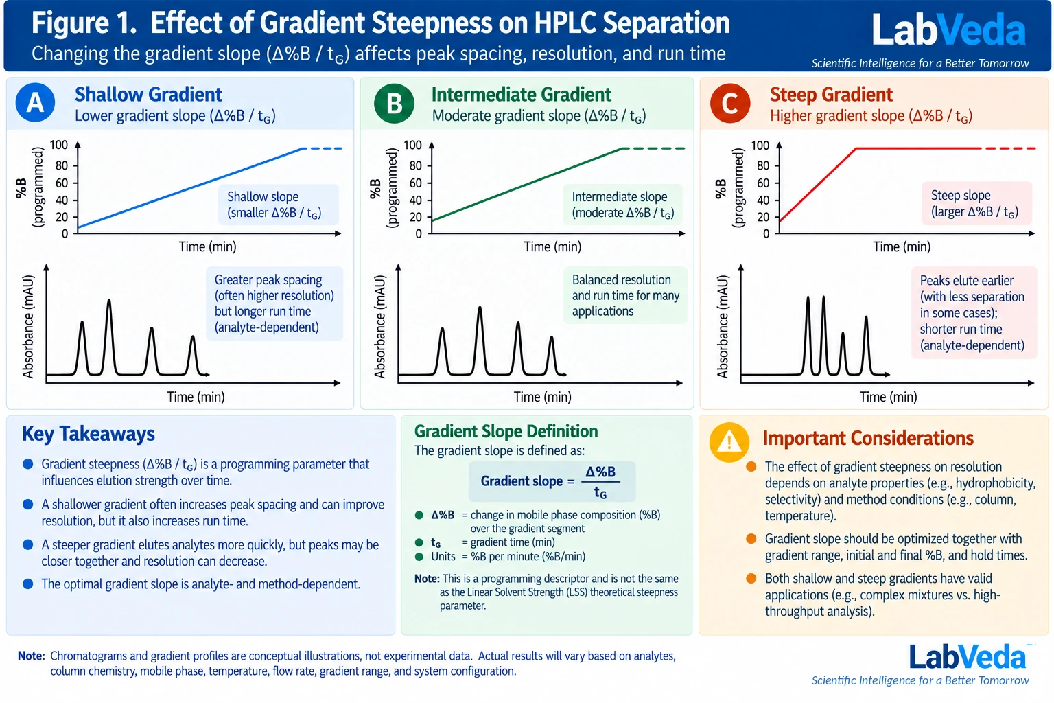 Three conceptual HPLC gradient profiles and their chromatograms comparing a shallow, intermediate and steep gradient slope, showing wider peak spacing and longer run time for the shallow gradient and earlier, more compressed peaks for the steep gradient.
