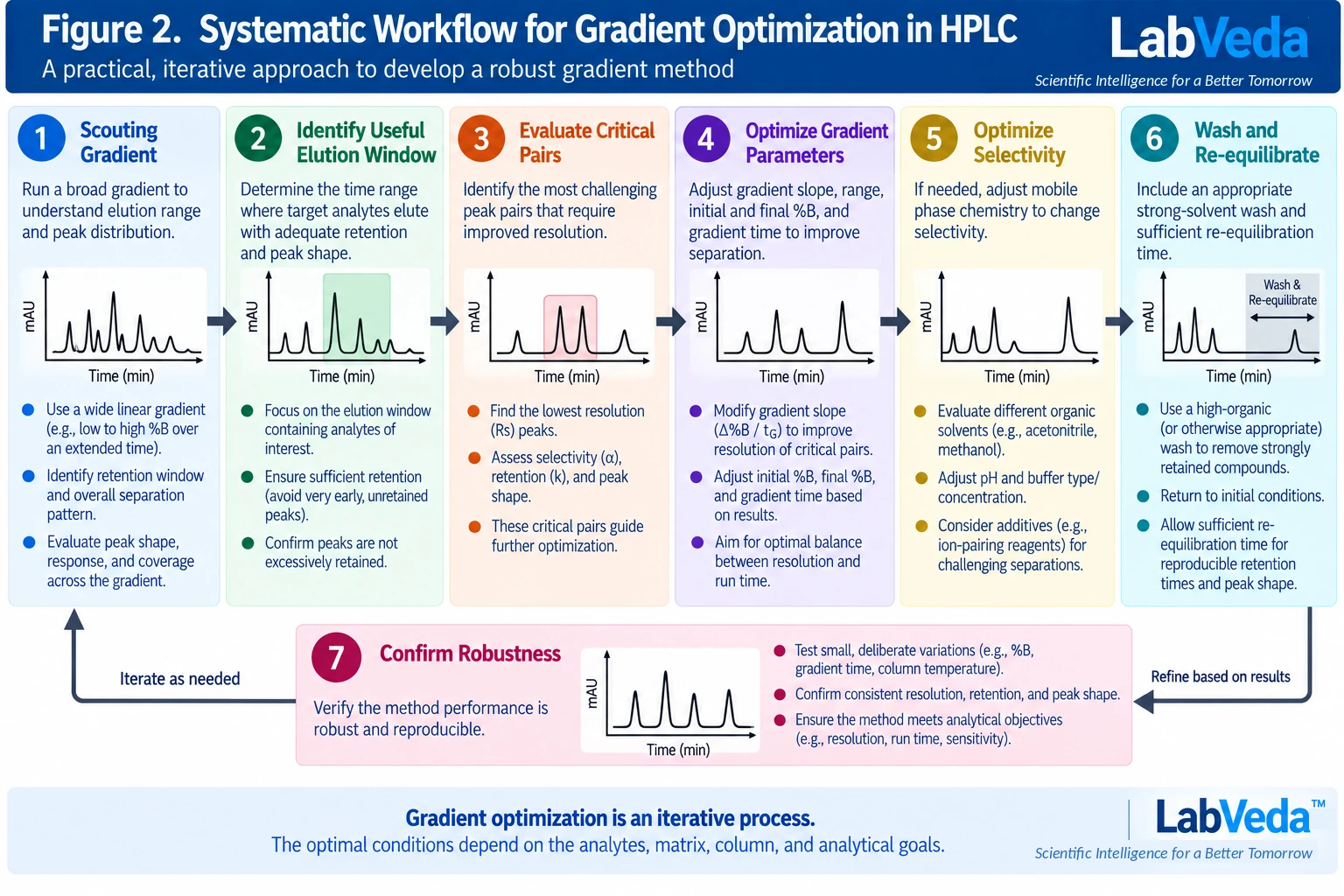 A seven-stage HPLC gradient-optimization workflow: run a scouting gradient, identify the useful elution window, evaluate critical pairs, optimize gradient parameters, optimize selectivity, add wash and re-equilibration, and confirm robustness, shown as an iterative loop.