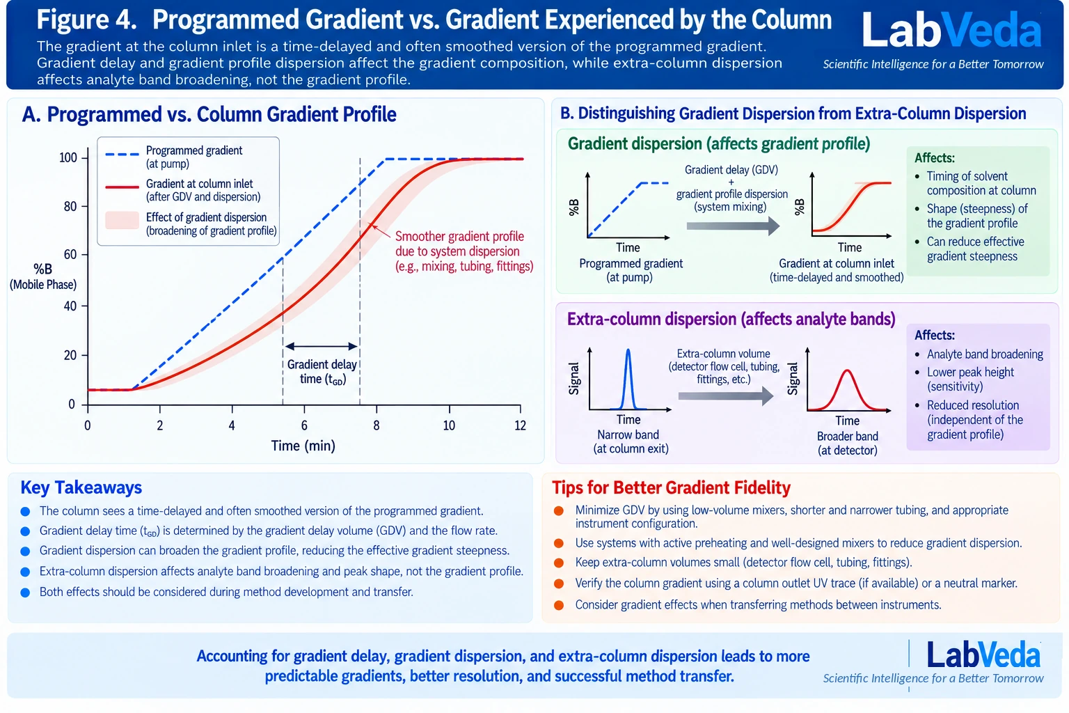 Two-panel figure contrasting the programmed gradient with the delayed and smoothed gradient at the column inlet, and separately showing that extra-column dispersion broadens an analyte band and lowers peak height without changing the gradient composition profile.