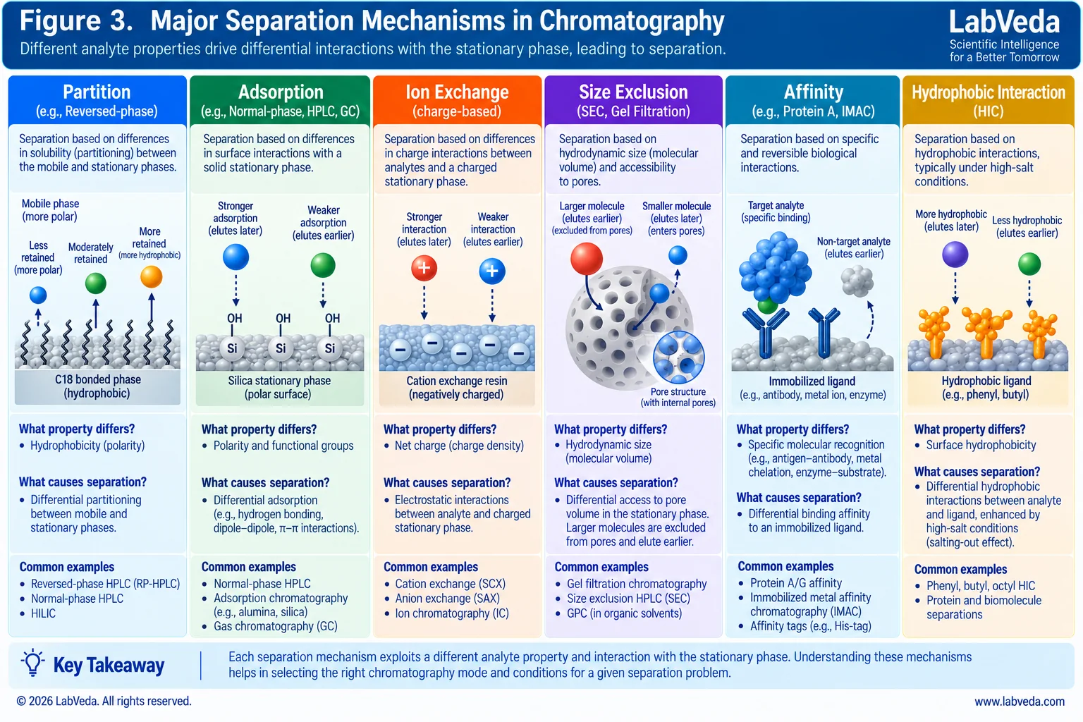 Six panels illustrating major chromatographic separation mechanisms: partition on a C18 bonded phase, adsorption on silica, ion exchange on a charged resin, size exclusion in a porous bead, affinity to an immobilized ligand, and hydrophobic interaction under high salt, each showing how differently interacting analytes elute in different orders.