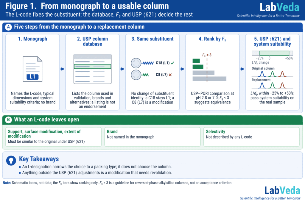 Map of the route from a USP monograph to a replacement column. Band A, five tiles joined by arrows: 1, Monograph (a page with an L1 chip): names the L-code, typical dimensions and system suitability criteria; no brand. 2, USP column database (a listing with one row highlighted): lists the column used in validation, brands and alternatives; a listing is not an endorsement. 3, Same substituent (C18 labelled L1 with a tick, C8 labelled L7 with a cross): no change of substituent identity; a C18 stays L1; a C8 (L7) is a modification. 4, Rank by Fs (schematic bars with an Fs = 3 line): USP–PQRI comparison at pH 2.8 or 7.0; Fs ≤ 3 suggests equivalence. 5, USP ⟨621⟩ and system suitability (an L/dp change bar from −25% to +50% above an original and a replacement trace with the same peaks): L/dp within −25% to +50%; pass system suitability on the real sample. Band B, What an L-code leaves open: support, surface modification, extent of modification must be similar to the original under USP ⟨621⟩; brand not named in the monograph; selectivity not described by any L-code.
