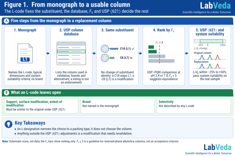Choosing an HPLC Column for a Regulated Method: USP L-Designations, Equivalency and Revalidation