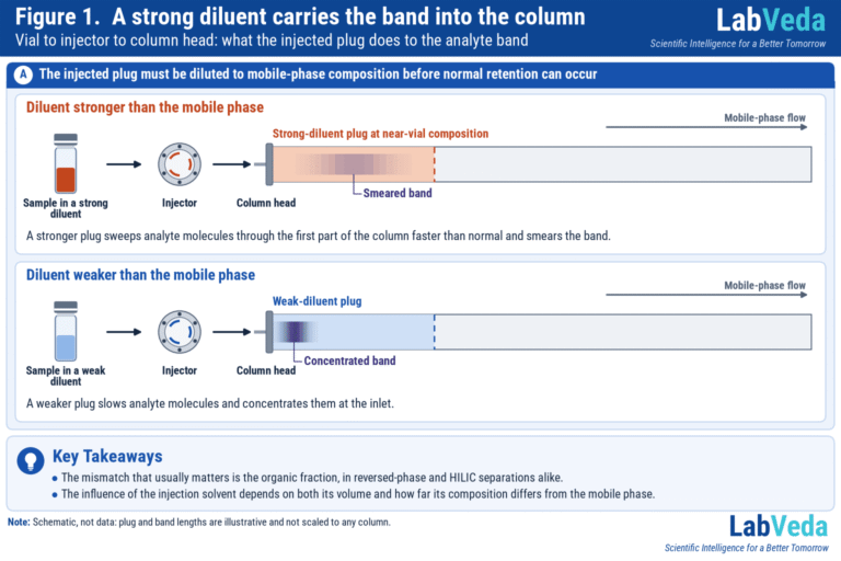 Injection Solvent Effects: How Diluent Strength and Injection Volume Distort Peaks