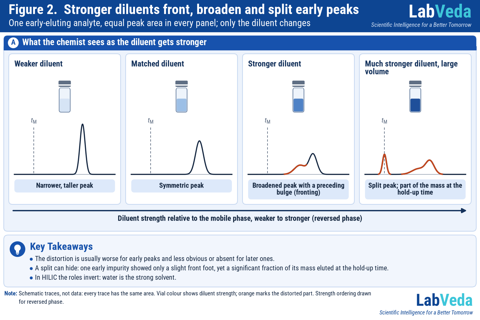 Four schematic chromatogram panels of the same analyte showing injection solvent effects by diluent strength: a tall narrow peak for a weaker diluent, a symmetric peak for a matched diluent, a fronting broadened peak for a stronger diluent and a split peak with breakthrough at the hold-up time for a much stronger diluent at large volume.