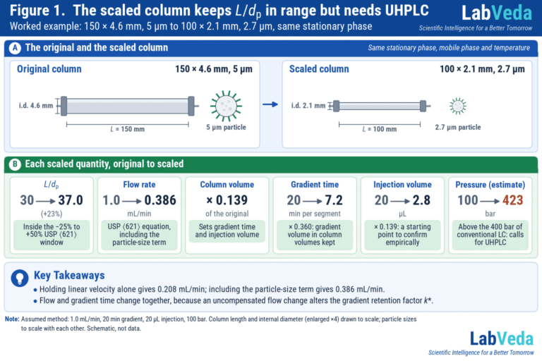 HPLC Column Dimensions and Particle Size: How to Scale a Method Correctly