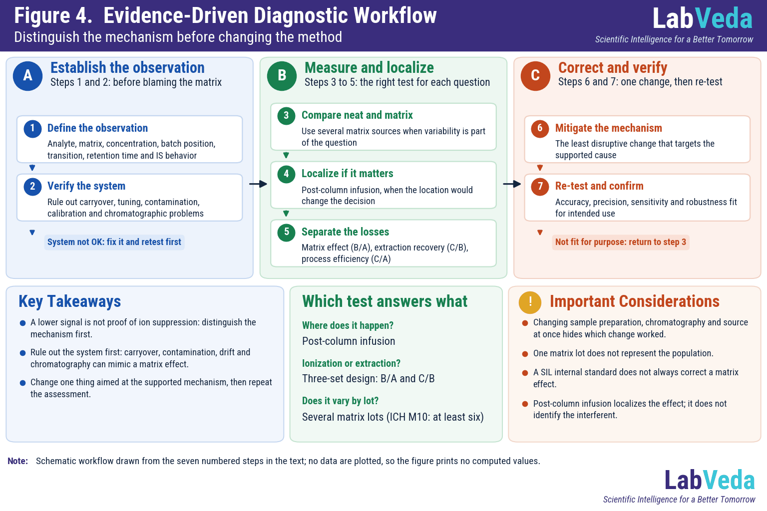 Seven-step diagnostic workflow in three phases: establish the observation (define it, verify the system), measure and localize (compare neat and matrix preparations, post-column infusion, separate matrix effect, recovery and process efficiency), and correct and verify (mitigate the supported mechanism, re-test), with a loop back to step 3 if the method is not fit for purpose.