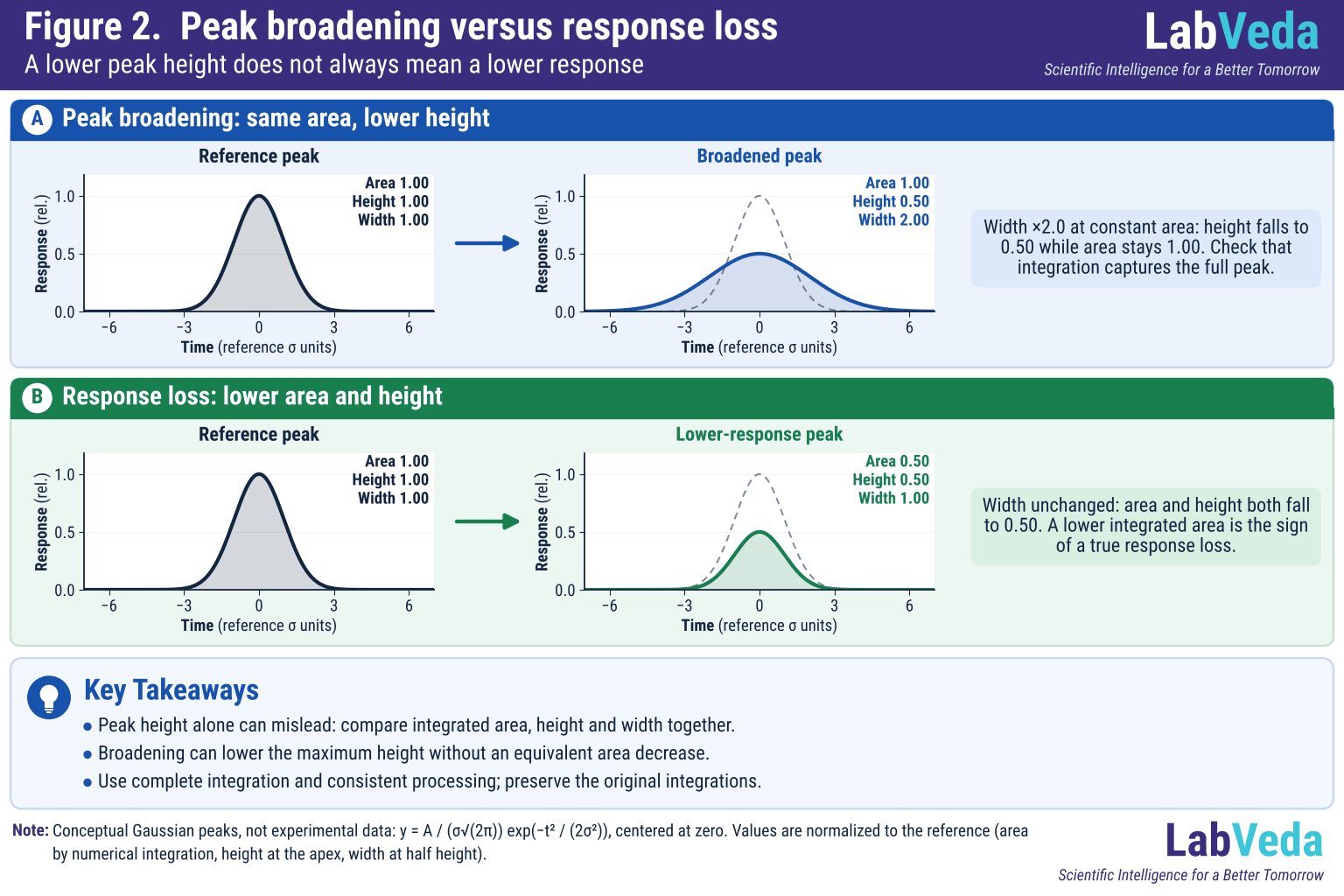 Two panels each show a reference Gaussian peak, an arrow and a changed peak. In A the peak is twice as wide with the same area and half the height. In B the peak keeps its width but has half the area and half the height. Printed area, height and width values are relative to the reference.