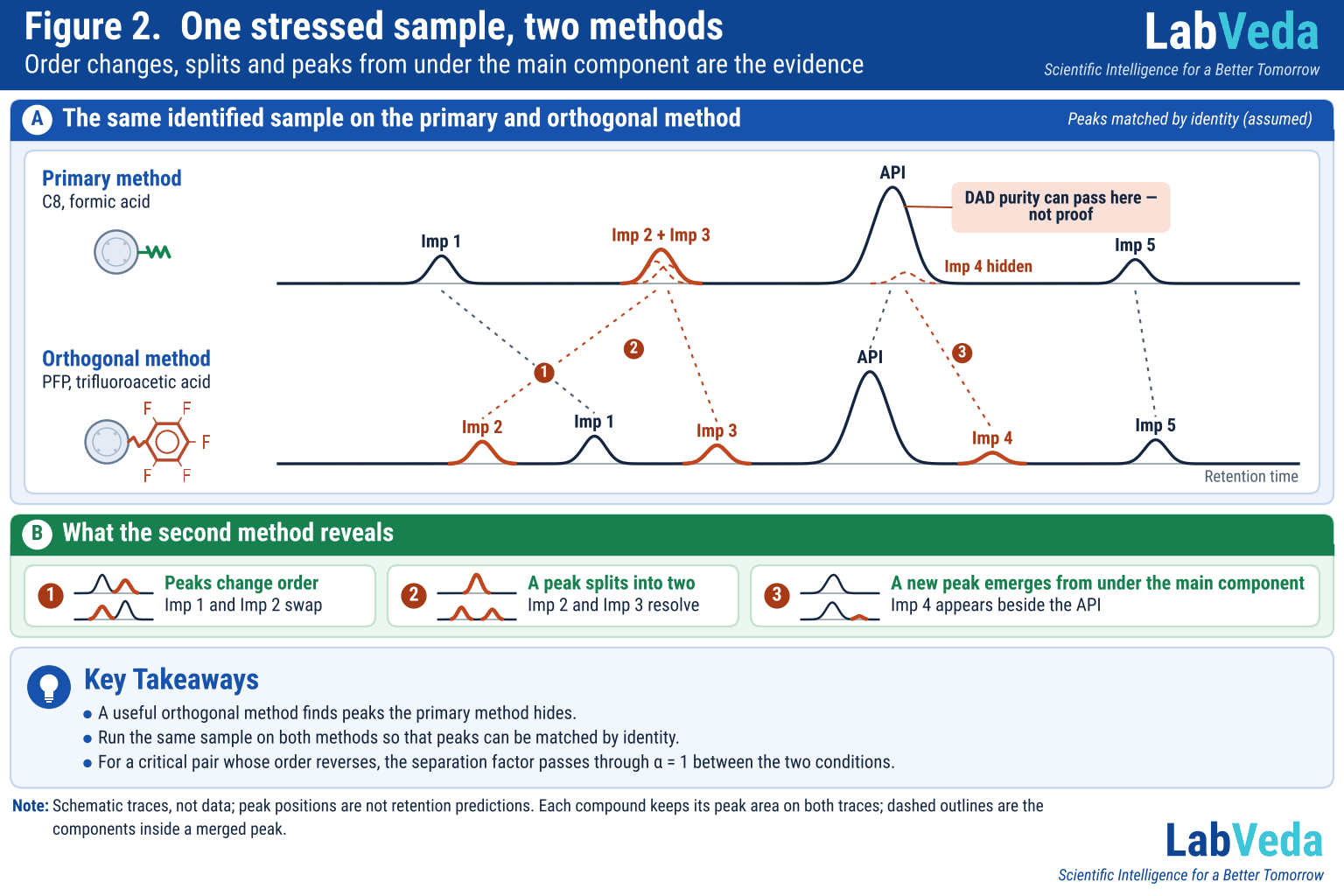 Two schematic chromatograms of the same stressed sample, stacked. Top, primary method (C8, formic acid): Imp 1, a single peak that is Imp 2 and Imp 3 coeluting (dashed outlines show the two components), the API peak with Imp 4 hidden under its tail, and Imp 5; a note on the API peak says DAD purity can pass here but is not proof. Bottom, orthogonal method (PFP, trifluoroacetic acid): Imp 2, Imp 1, Imp 3, the API, Imp 4 and Imp 5 as separate peaks, with Imp 2, Imp 3 and Imp 4 highlighted. Dotted lines link each compound between the traces: Imp 1 and Imp 2 cross (order change), Imp 2 and Imp 3 fan out (a split) and Imp 4 moves out from under the API (a new peak). Below, three numbered tiles name these kinds of evidence, each with a small before-and-after trace sketch.