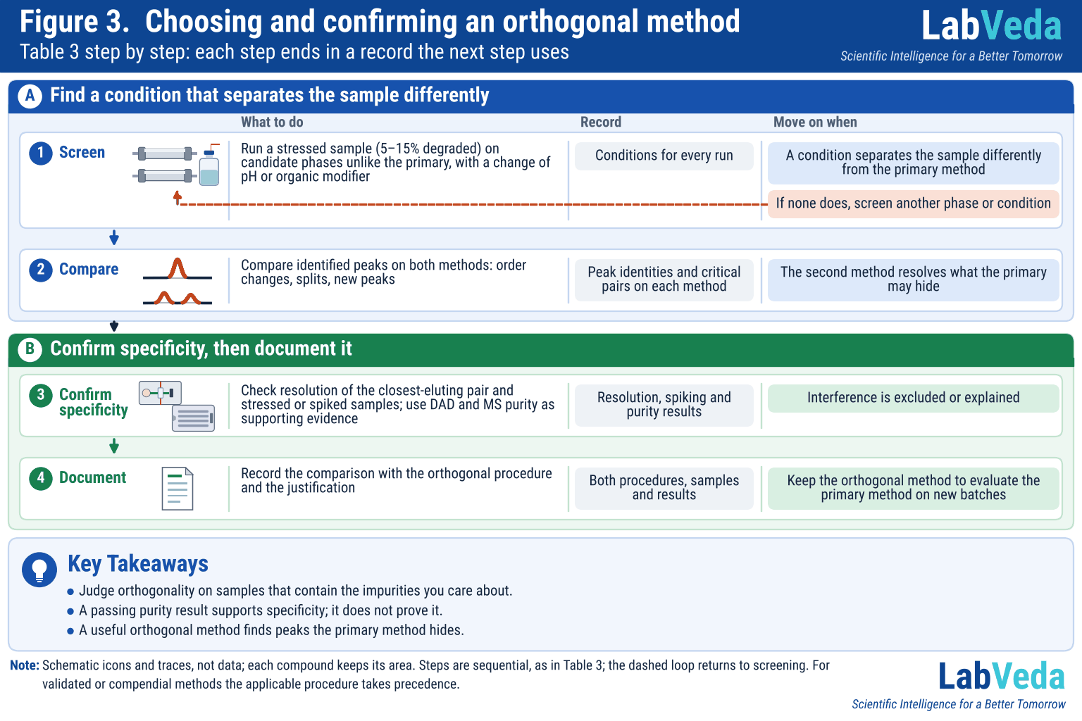 Four-step workflow matching Table 3, in two bands, with columns for what to do, what to record and when to move on. Step 1, Screen (column and mobile-phase bottle icons): run a 5–15% degraded stressed sample on candidate phases with a pH or organic-modifier change; a dashed loop returns to screening if no condition separates the sample differently. Step 2, Compare (a single peak above the same two compounds resolved, each keeping its area): compare identified peaks for order changes, splits and new peaks. Step 3, Confirm specificity (DAD and mass spectrometer icons): resolution of the closest-eluting pair, stressed or spiked samples, DAD and MS purity as support. Step 4, Document (record page): record the comparison and justification and keep the orthogonal method for new batches.