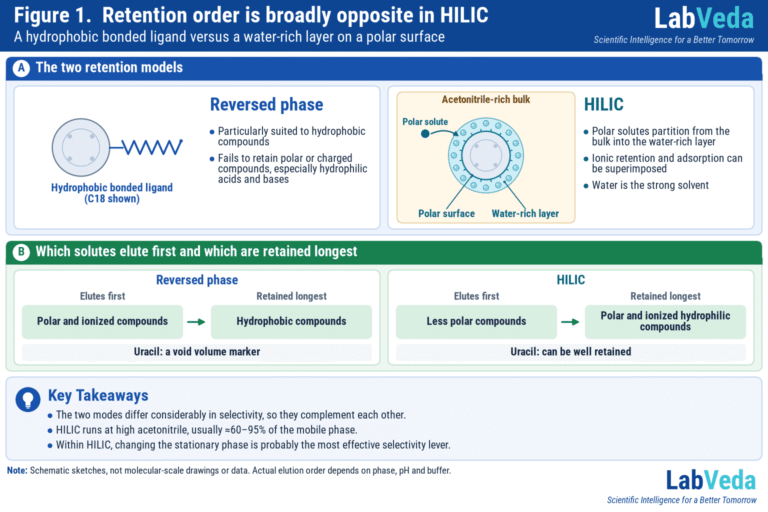When Should You Switch from Reversed-Phase HPLC to HILIC?